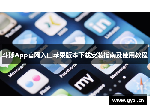 斗球App官网入口苹果版本下载安装指南及使用教程